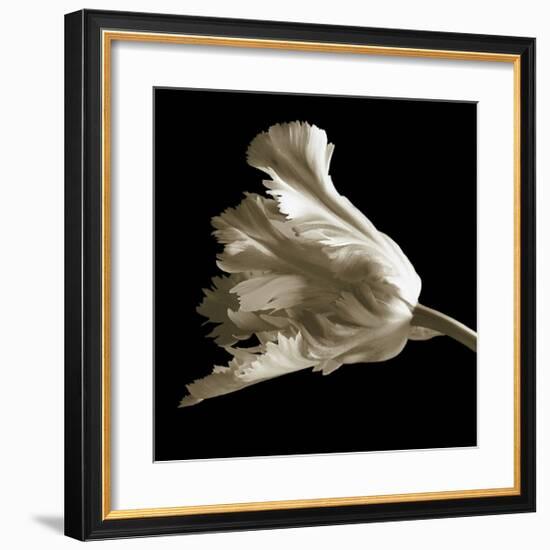 Tulip-Michael Harrison-Framed Giclee Print