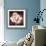 Tulip-Christine Zalewski-Framed Premium Giclee Print displayed on a wall