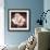 Tulip-Christine Zalewski-Framed Premium Giclee Print displayed on a wall