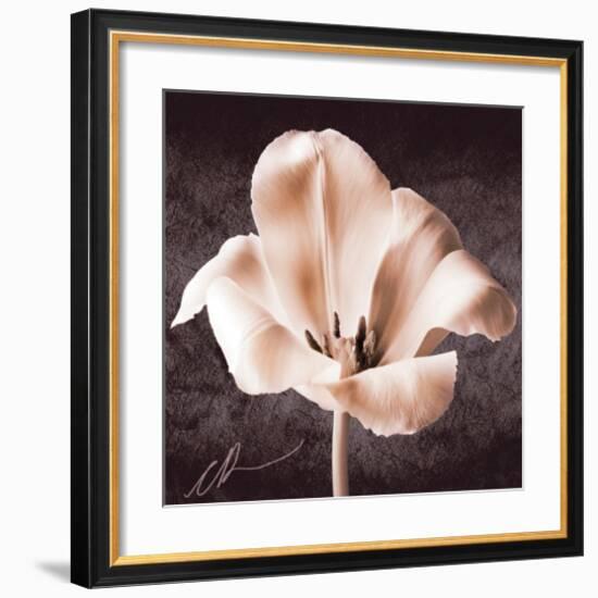 Tulip-Christine Zalewski-Framed Premium Giclee Print