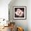 Tulip-Christine Zalewski-Framed Premium Giclee Print displayed on a wall