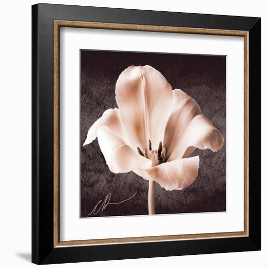 Tulip-Christine Zalewski-Framed Art Print