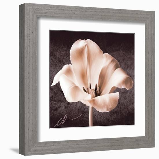 Tulip-Christine Zalewski-Framed Art Print