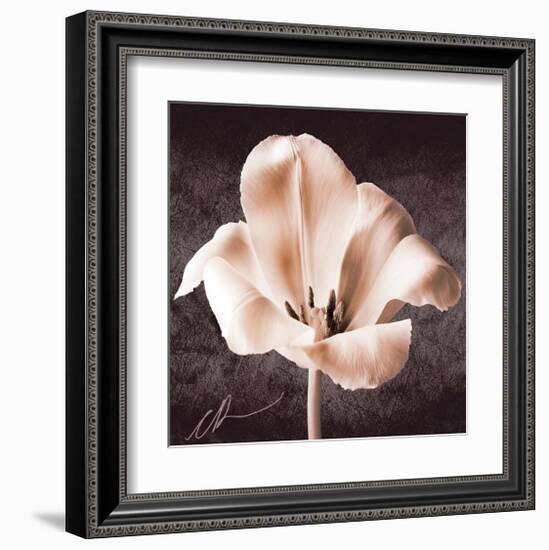 Tulip-Christine Zalewski-Framed Art Print