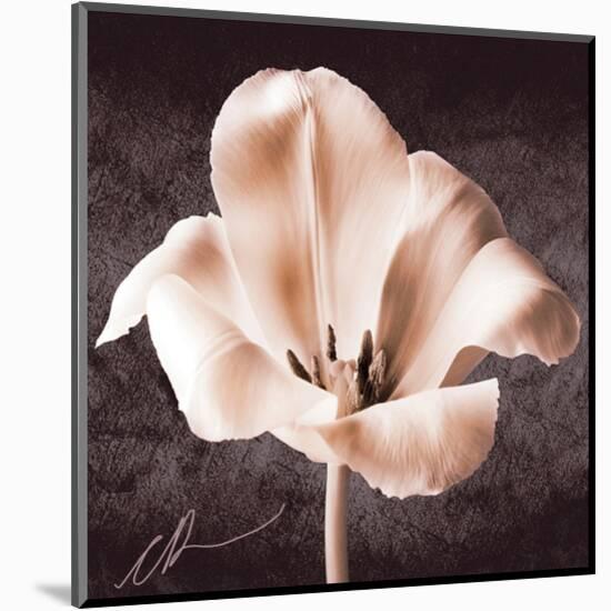 Tulip-Christine Zalewski-Mounted Art Print