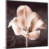 Tulip-Christine Zalewski-Mounted Art Print