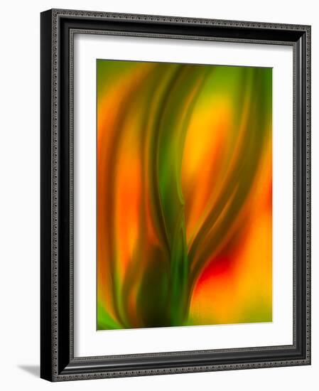 Tulip-Ursula Abresch-Framed Photographic Print