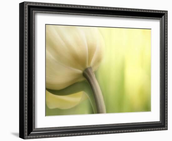 Tulip-Irene Suchocki-Framed Photographic Print