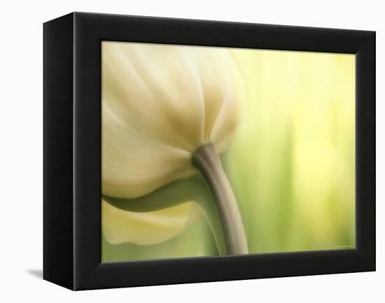 Tulip-Irene Suchocki-Framed Premier Image Canvas