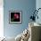 tulip-Magda Indigo-Framed Photographic Print displayed on a wall