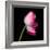 tulip-Magda Indigo-Framed Photographic Print