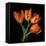 tulip-Magda Indigo-Framed Premier Image Canvas