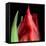 \tulip-Magda Indigo-Framed Premier Image Canvas