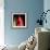 \tulip-Magda Indigo-Framed Photographic Print displayed on a wall