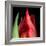 \tulip-Magda Indigo-Framed Photographic Print