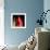 \tulip-Magda Indigo-Framed Photographic Print displayed on a wall