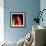 \tulip-Magda Indigo-Framed Photographic Print displayed on a wall