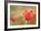 Tulip-Julie Fain-Framed Art Print