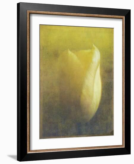 Tulip-Johan Lilja-Framed Giclee Print