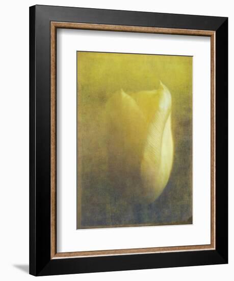 Tulip-Johan Lilja-Framed Giclee Print