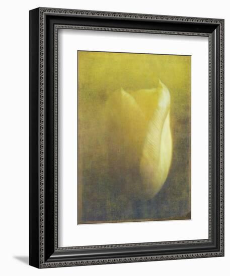 Tulip-Johan Lilja-Framed Giclee Print