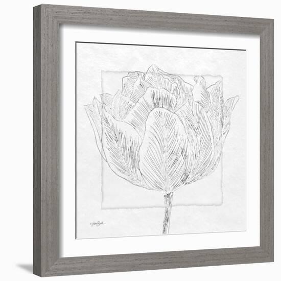 Tulipa 1-Diane Stimson-Framed Art Print