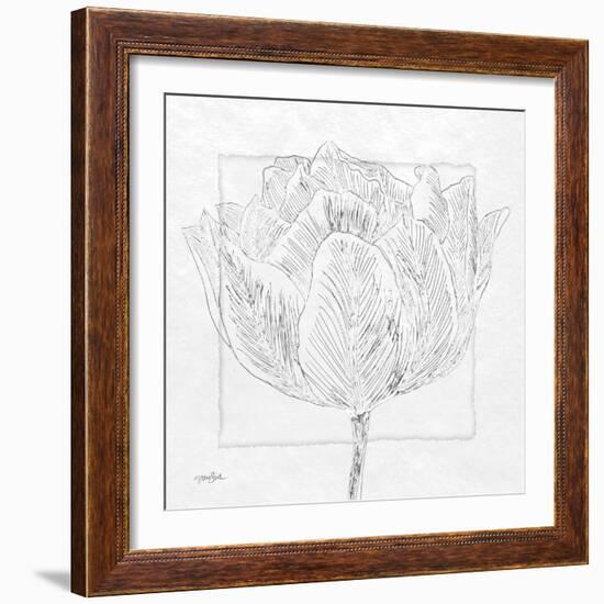 Tulipa 1-Diane Stimson-Framed Art Print