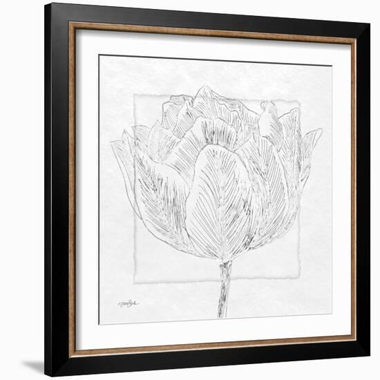 Tulipa 1-Diane Stimson-Framed Art Print