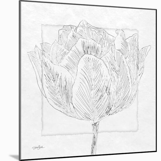 Tulipa 1-Diane Stimson-Mounted Art Print