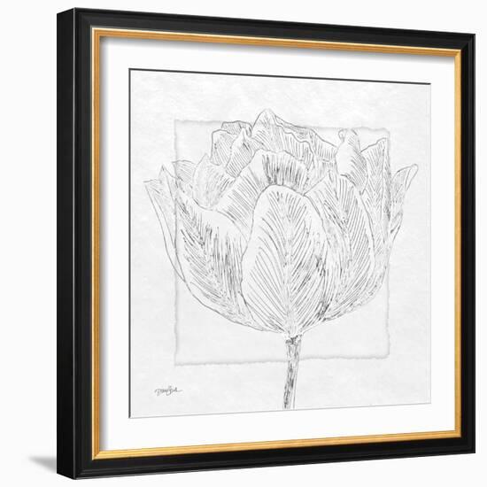 Tulipa 1-Diane Stimson-Framed Art Print