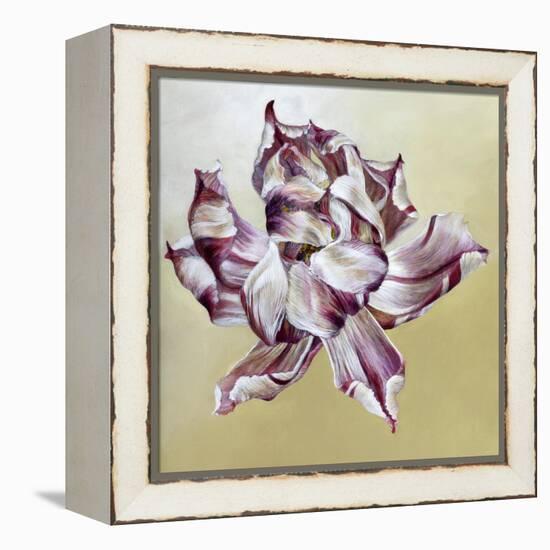 Tulipa, 2013-Odile Kidd-Framed Premier Image Canvas