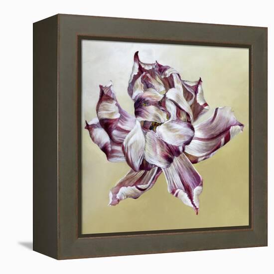 Tulipa, 2013-Odile Kidd-Framed Premier Image Canvas