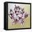 Tulipa, 2013-Odile Kidd-Framed Premier Image Canvas