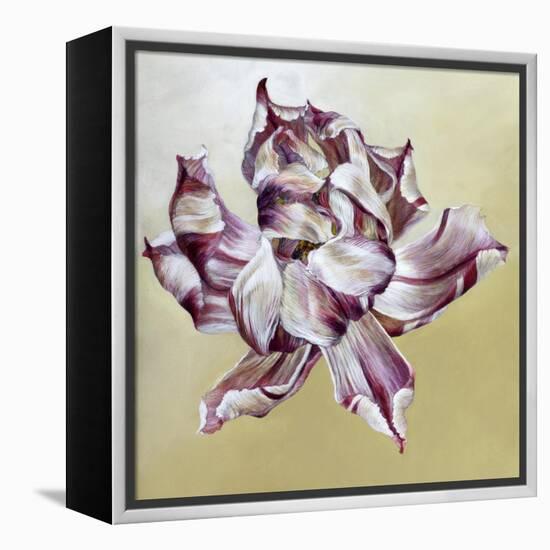 Tulipa, 2013-Odile Kidd-Framed Premier Image Canvas