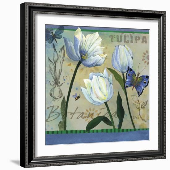 Tulipa Botanica-Fiona Stokes-Gilbert-Framed Giclee Print