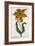 Tulipa Lutea, Lithograph-Johann Wilhelm Weinmann-Framed Giclee Print