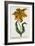 Tulipa Lutea, Lithograph-Johann Wilhelm Weinmann-Framed Giclee Print