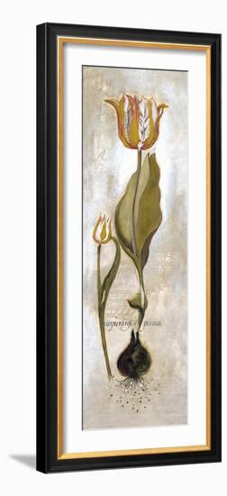 Tulipa Violoncello V-Augustine-Framed Giclee Print