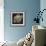 Tulipana Still-Assaf Frank-Framed Giclee Print displayed on a wall
