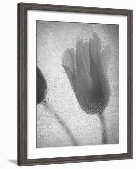 Tulipanes Amarillos-Moises Levy-Framed Photographic Print