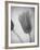 Tulipanes Amarillos-Moises Levy-Framed Photographic Print