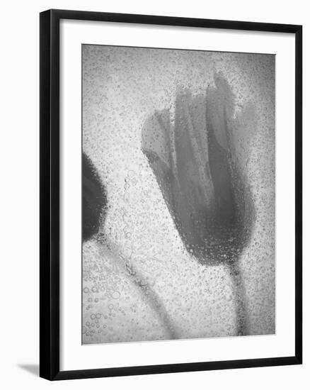 Tulipanes Amarillos-Moises Levy-Framed Photographic Print