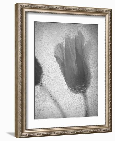 Tulipanes Amarillos-Moises Levy-Framed Photographic Print