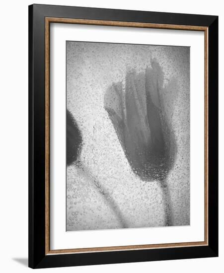 Tulipanes Amarillos-Moises Levy-Framed Photographic Print