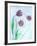 Tulipanes Rojos-Moises Levy-Framed Photographic Print