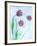 Tulipanes Rojos-Moises Levy-Framed Photographic Print