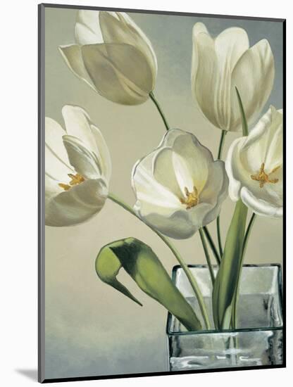 Tulipani in vaso-Eva Barberini-Mounted Art Print