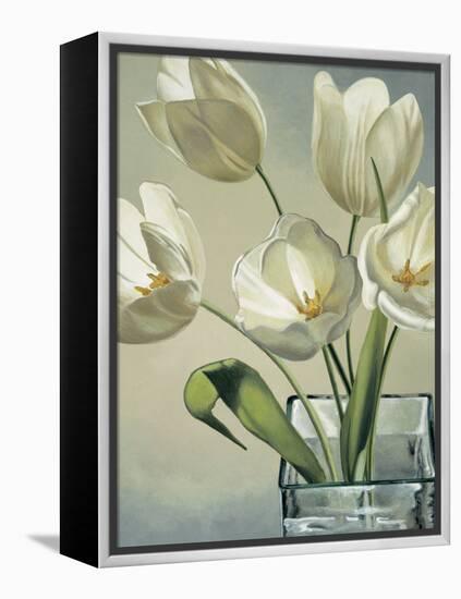 Tulipani in vaso-Eva Barberini-Framed Stretched Canvas