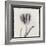 Tulipano Bontanica V-Bill Philip-Framed Giclee Print