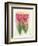 Tulipas 03-Maria Trad-Framed Giclee Print